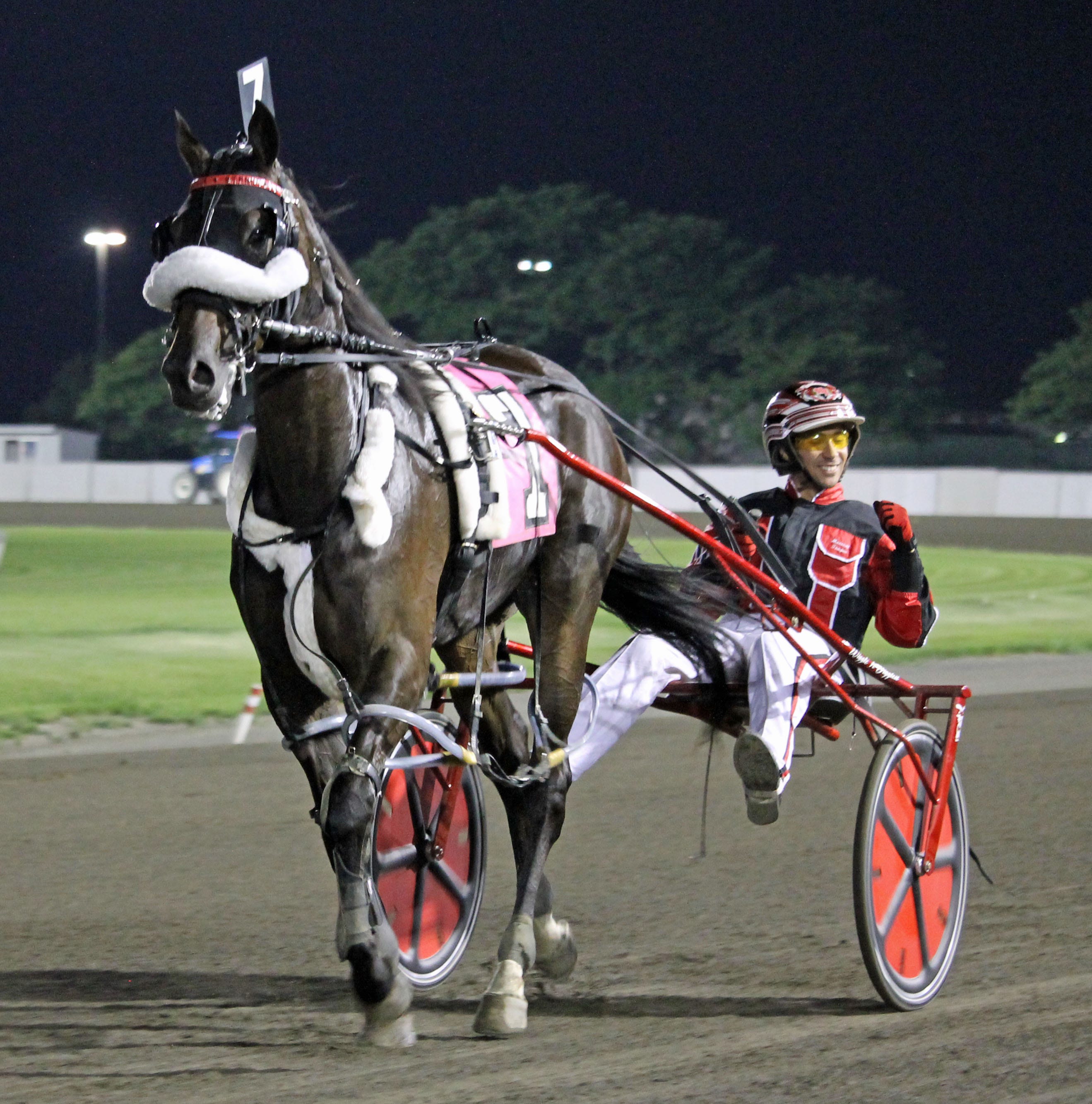 Dover: Wiggle It Jiggleit heads Delaware trio in Matron